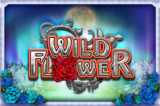 Wild Flower 
