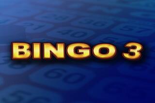 Bingo 3